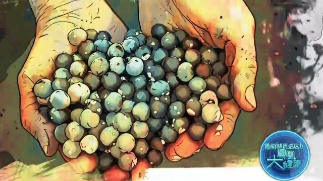 阿萨伊，来自亚马逊雨林的生命之果，蕴含着抗衰的绝佳功效