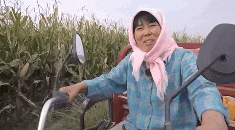 干农活中的裴爱民　受访者供图