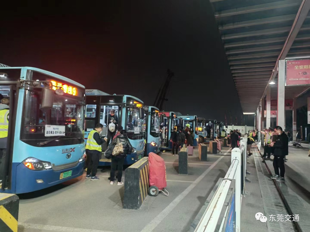 气温重回26东莞16条夜间疏运专线开通