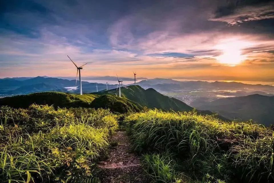 "宝藏"象山,看这篇就go了!凤凰网宁波_凤凰网