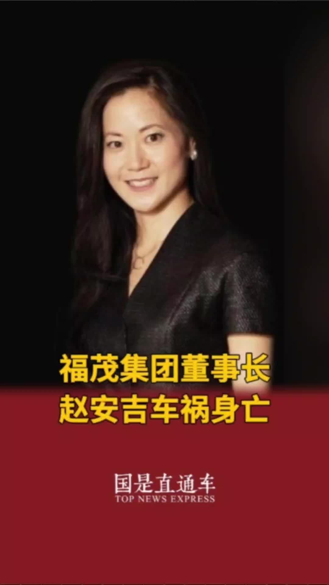 福茂集团董事长赵安吉车祸身亡#国是论坛