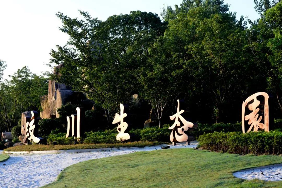 在镇海过年一起玩起来