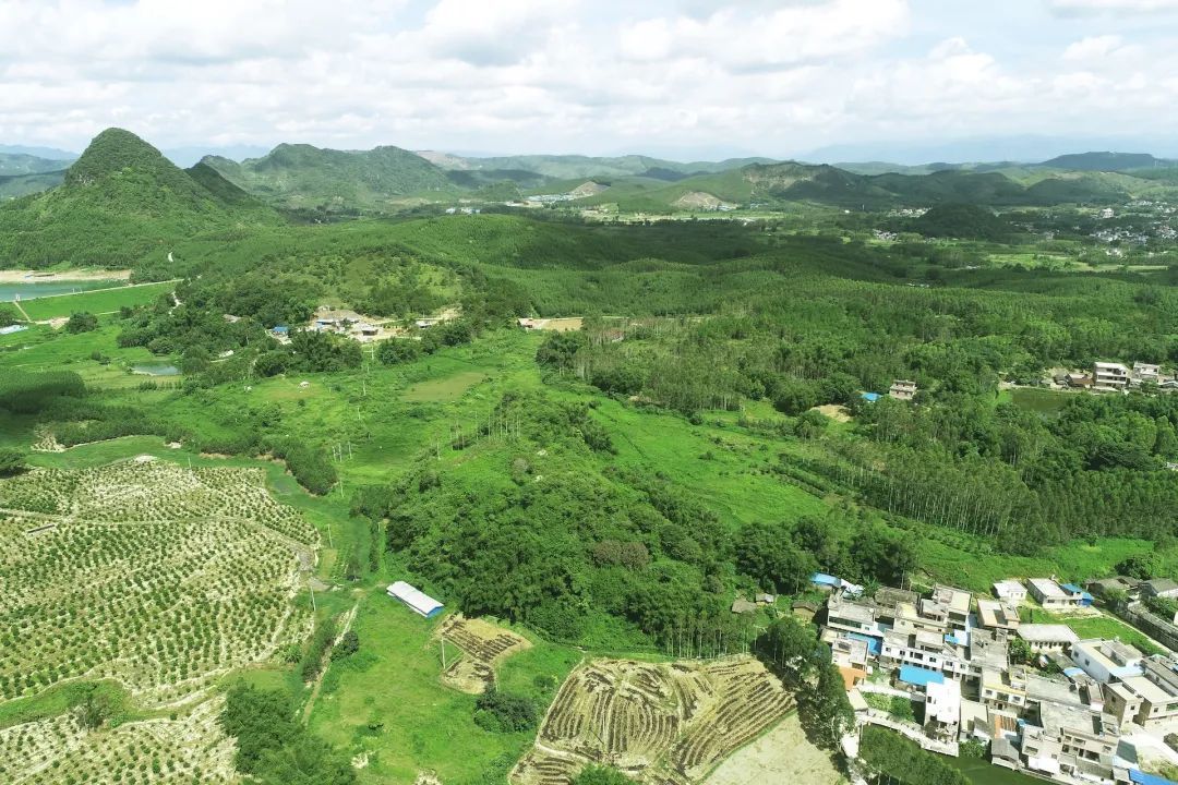 岩山寨遗址地貌