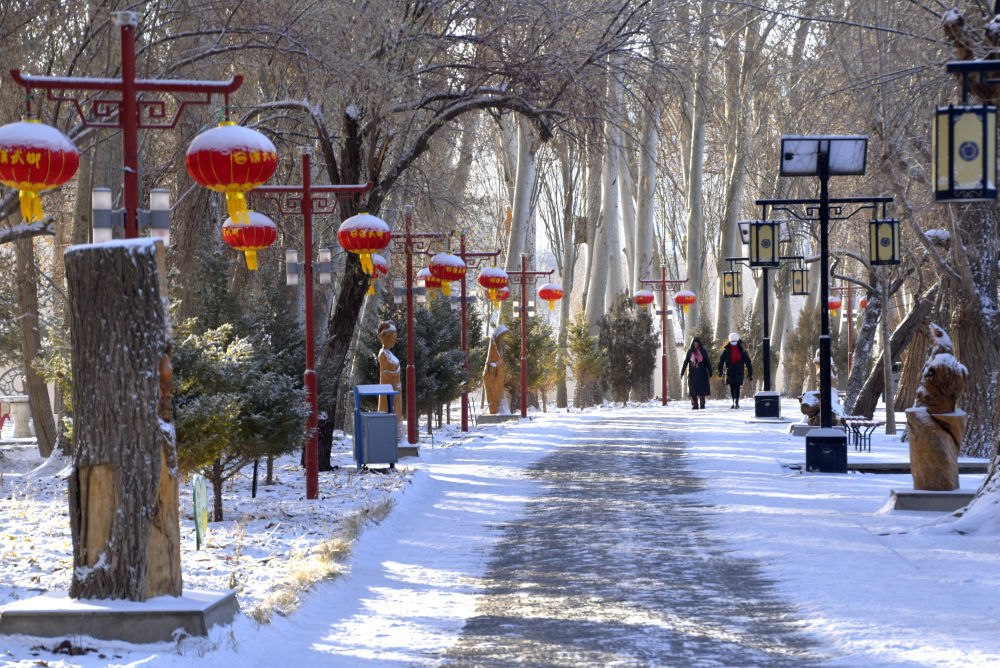 2月21日在甘肃省酒泉市肃州区一座公园里拍摄的雪后景色 新华社发