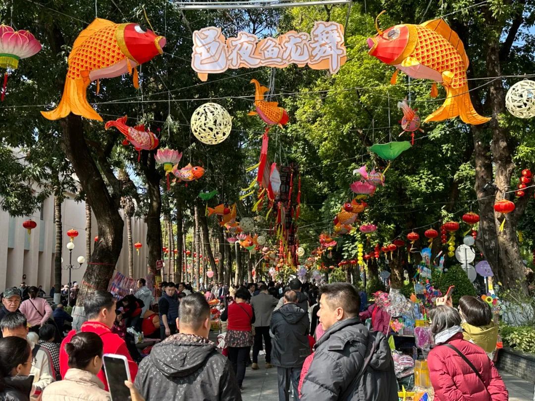 接待游客195.36万人次 这个春节 新会龙行龘龘向未来