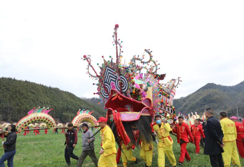 九江彭泽县百米板龙舞动乡村