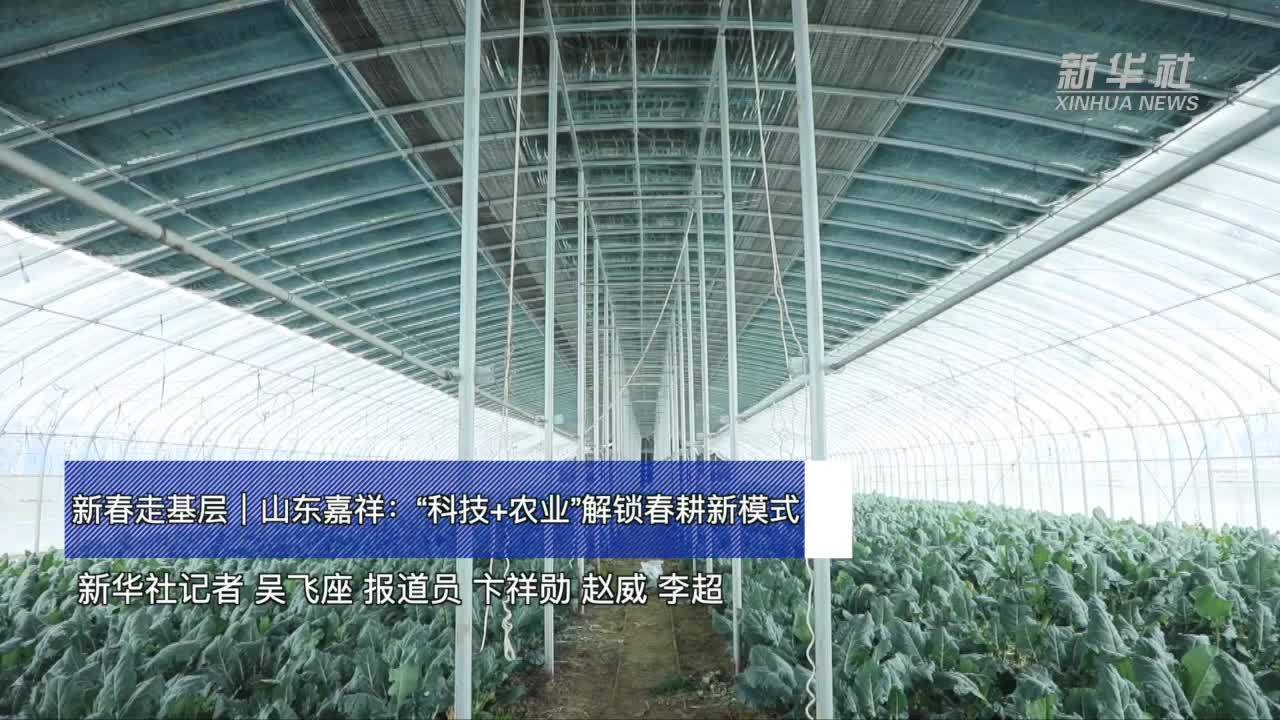 新春走基层｜山东嘉祥：“科技+农业”解锁春耕新模式