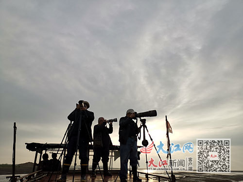 鄱陽(yáng)湖觀鳥(niǎo)者架起“長(zhǎng)槍短炮”。通訊員傅建斌攝