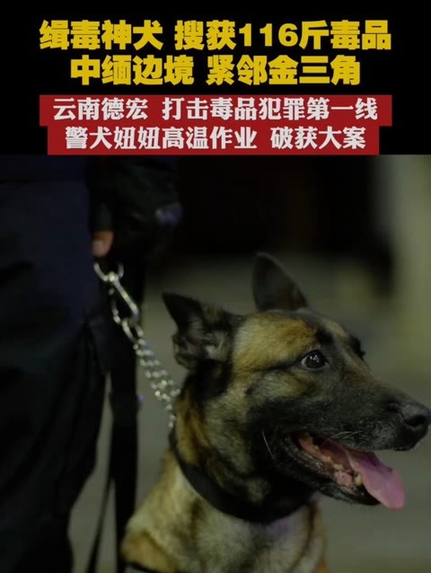 缉毒犬排名图片