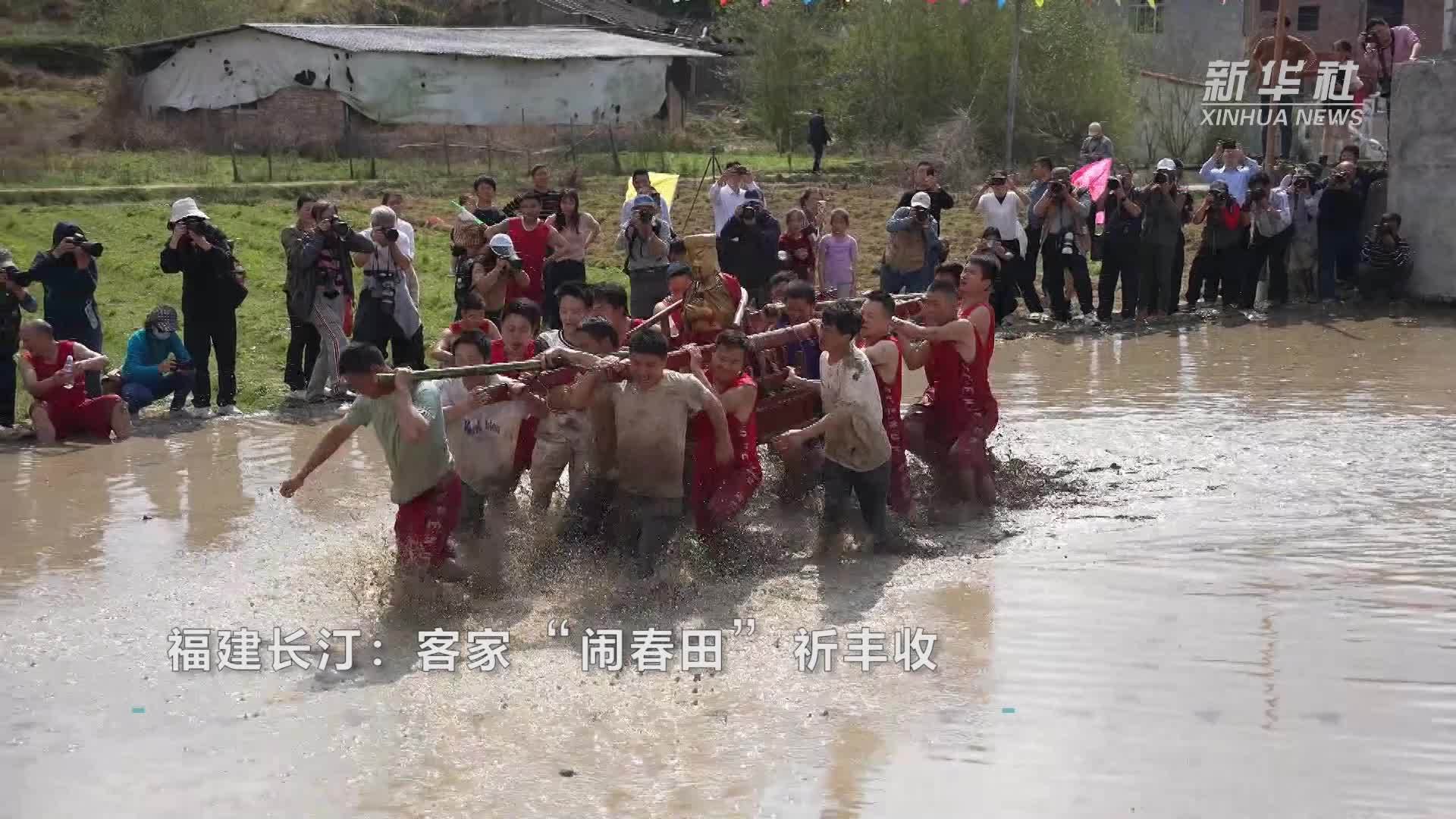 福建长汀：客家“闹春田”祈丰收