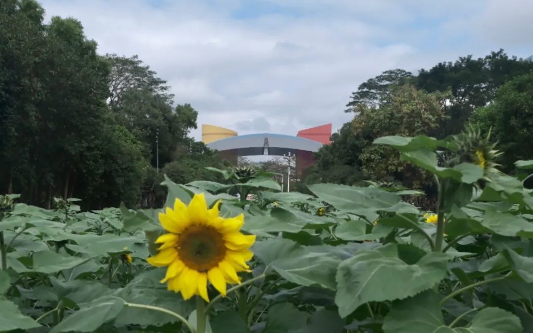 生活如诗，风景如画