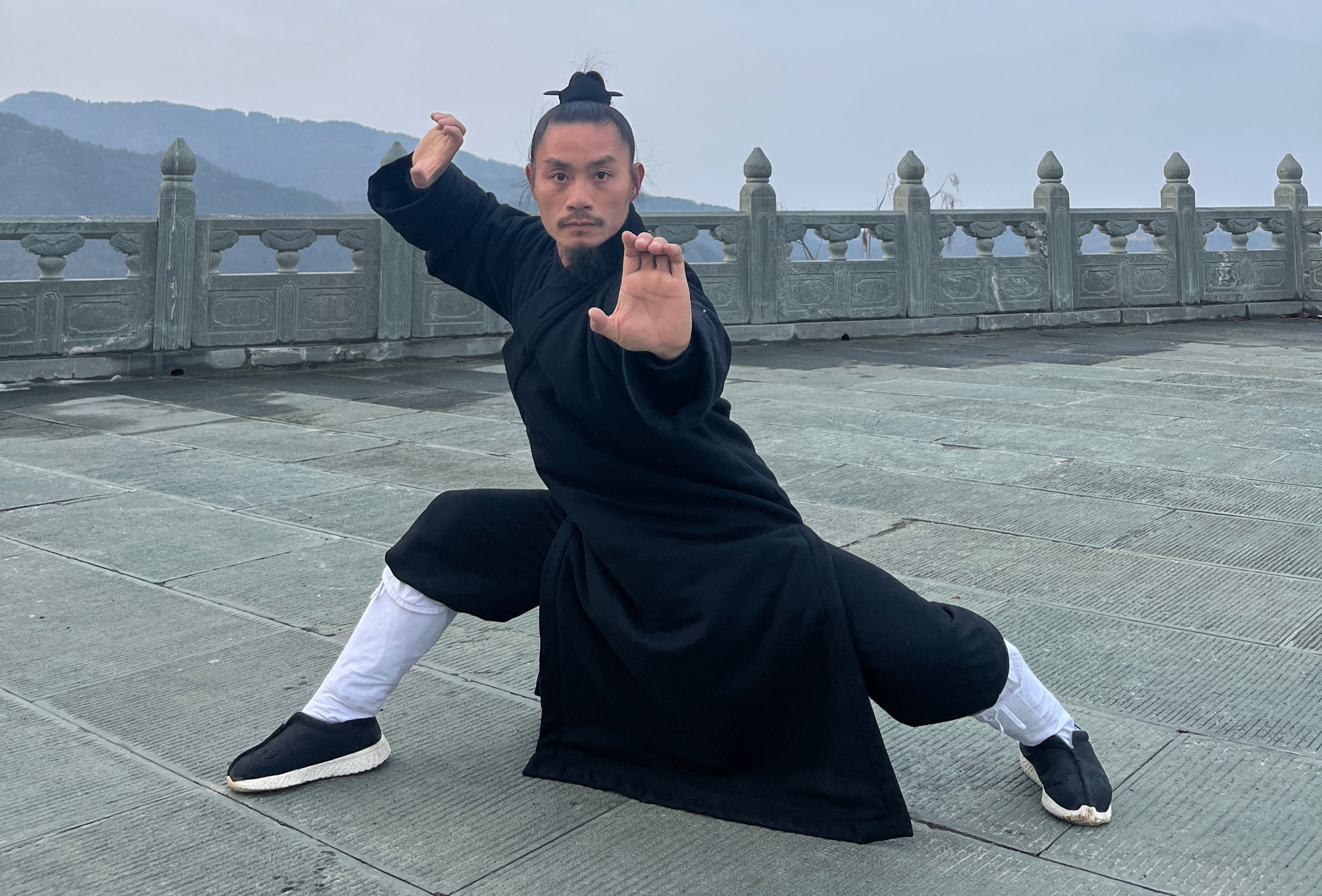 武当三丰派第十五代传人夏齐《龙华拳》展示