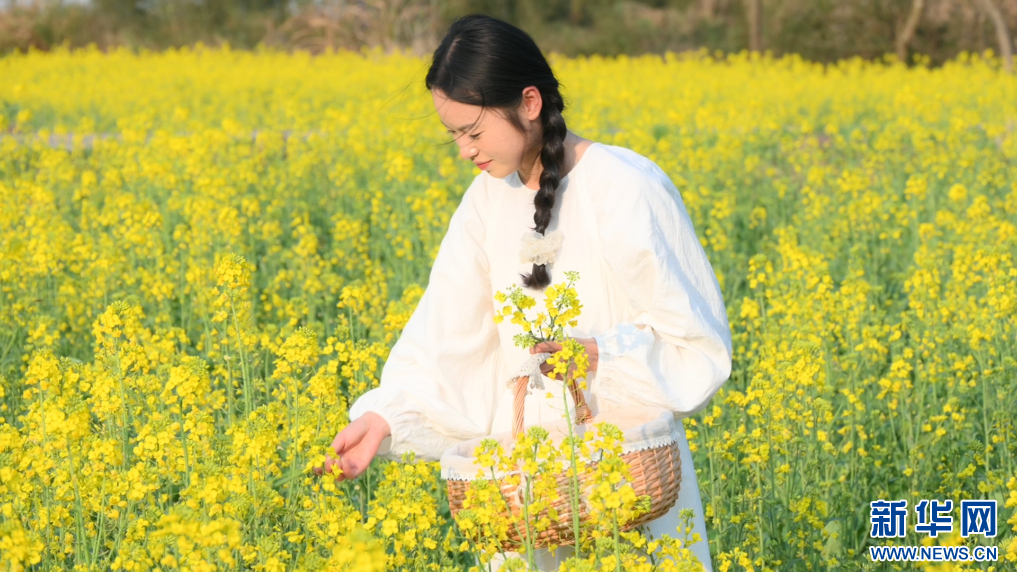 江西:油菜花烂漫绽放(图)