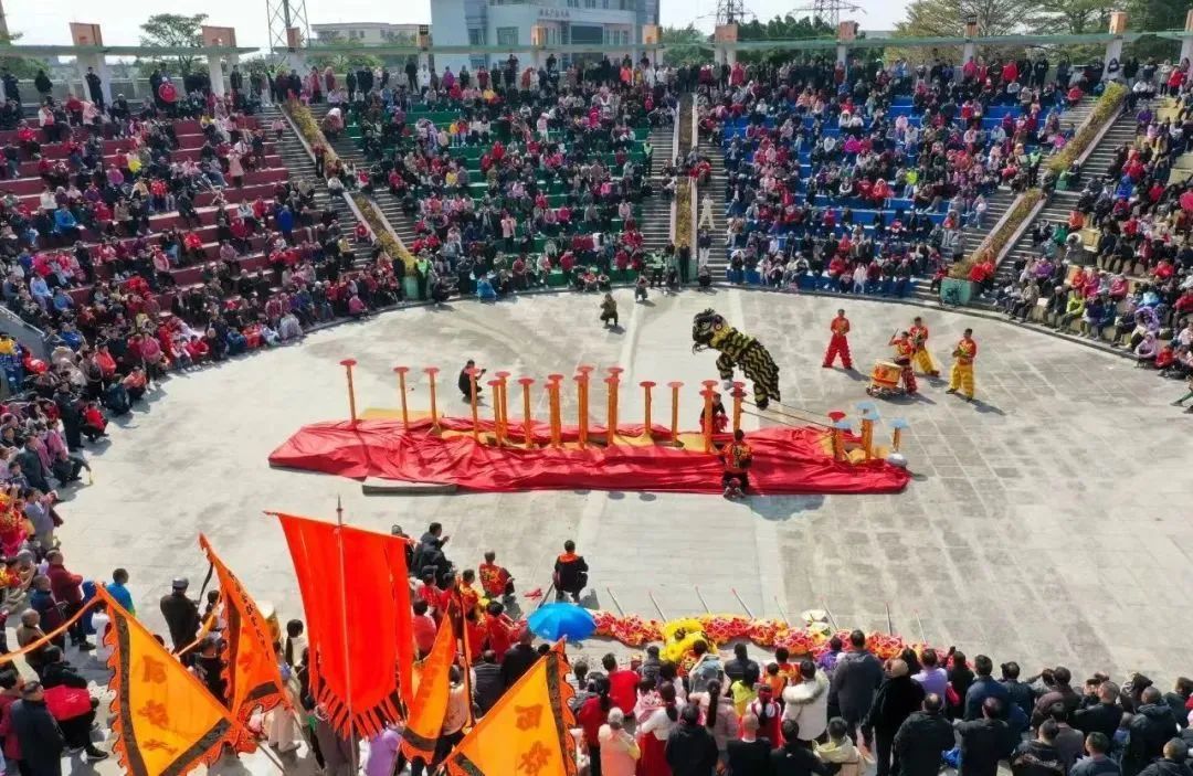 接待游客195.36万人次 这个春节 新会龙行龘龘向未来