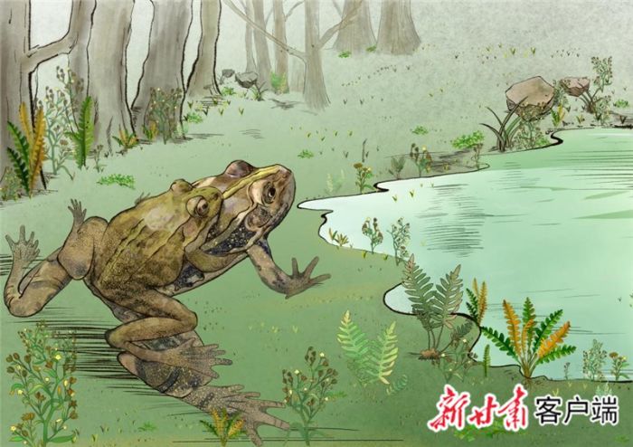 早白垩世祁连甘肃蟾生活环境复原