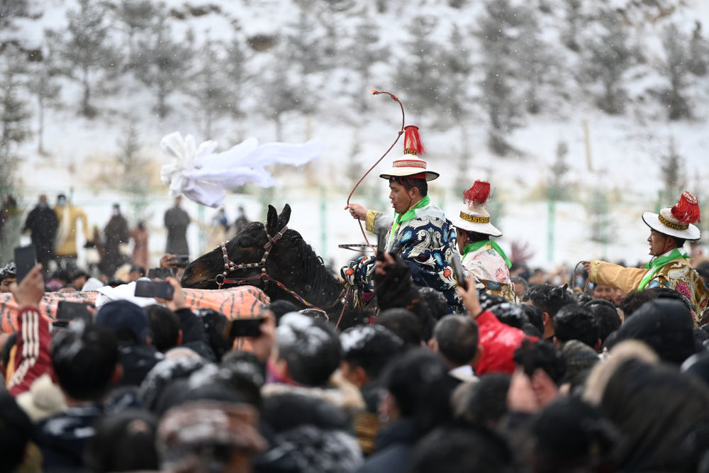 海内外4万余人齐聚世界藏学府 雪中瞻佛享视觉盛宴