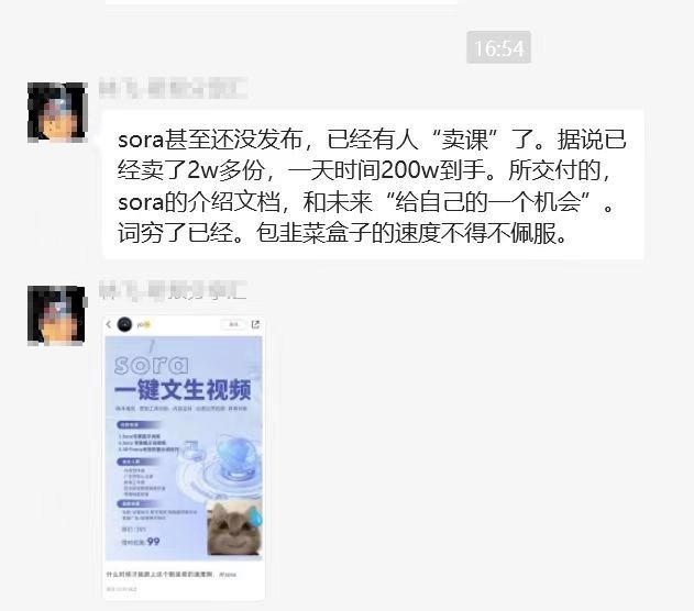 网传sora卖课一天赚200万，网友：包韭菜盒子的速度不得不佩服