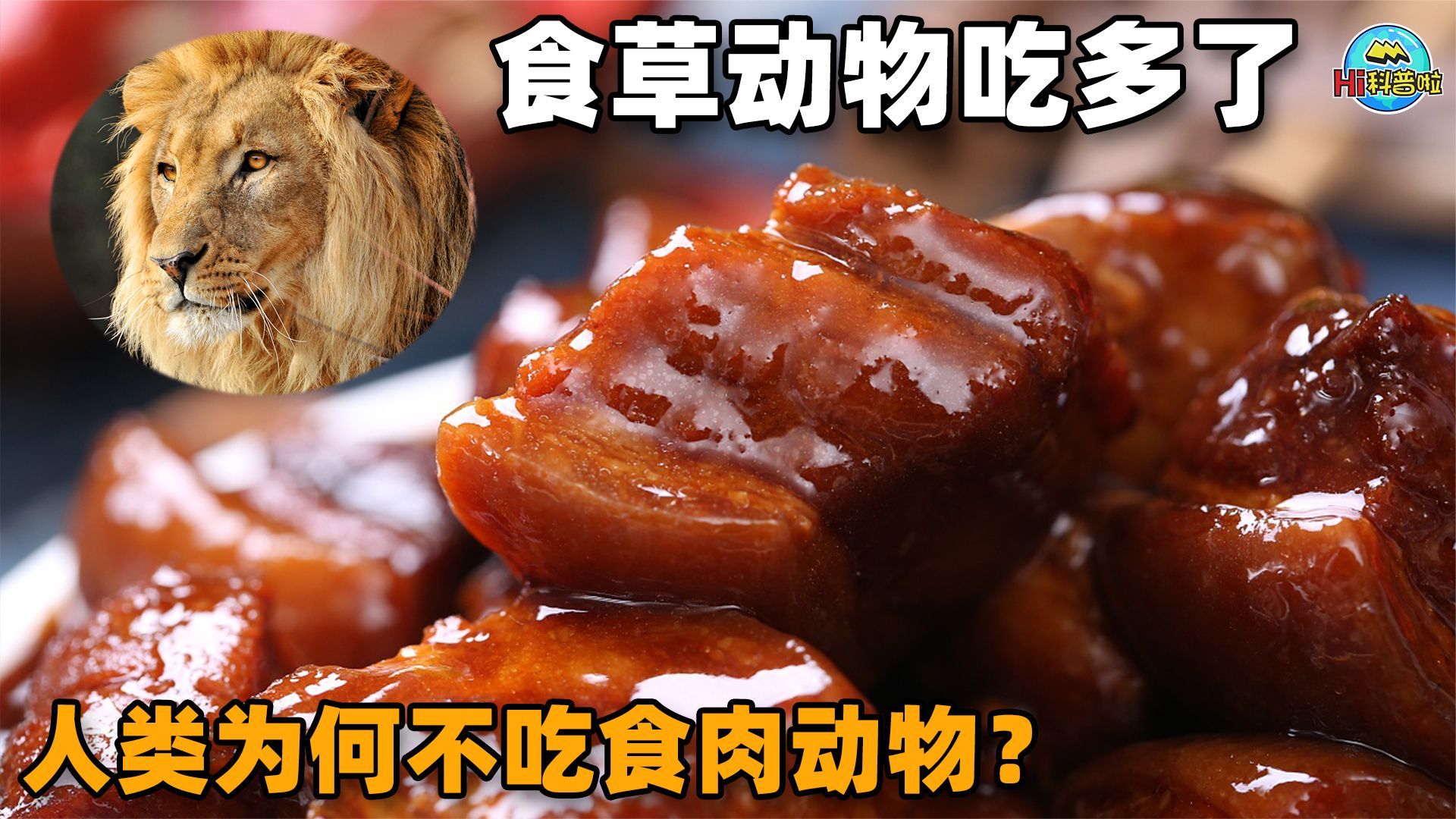 为何人类几乎不吃食肉动物？是真的不好吃？还是有什么难言之隐？