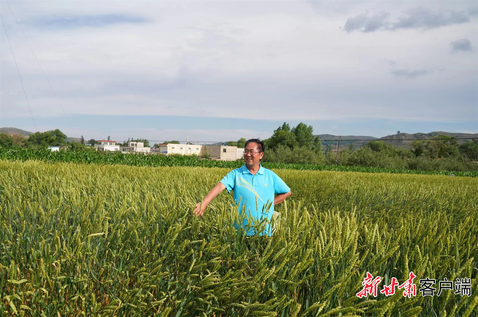 柴守玺委员在田间考察（图均由受访者提供）