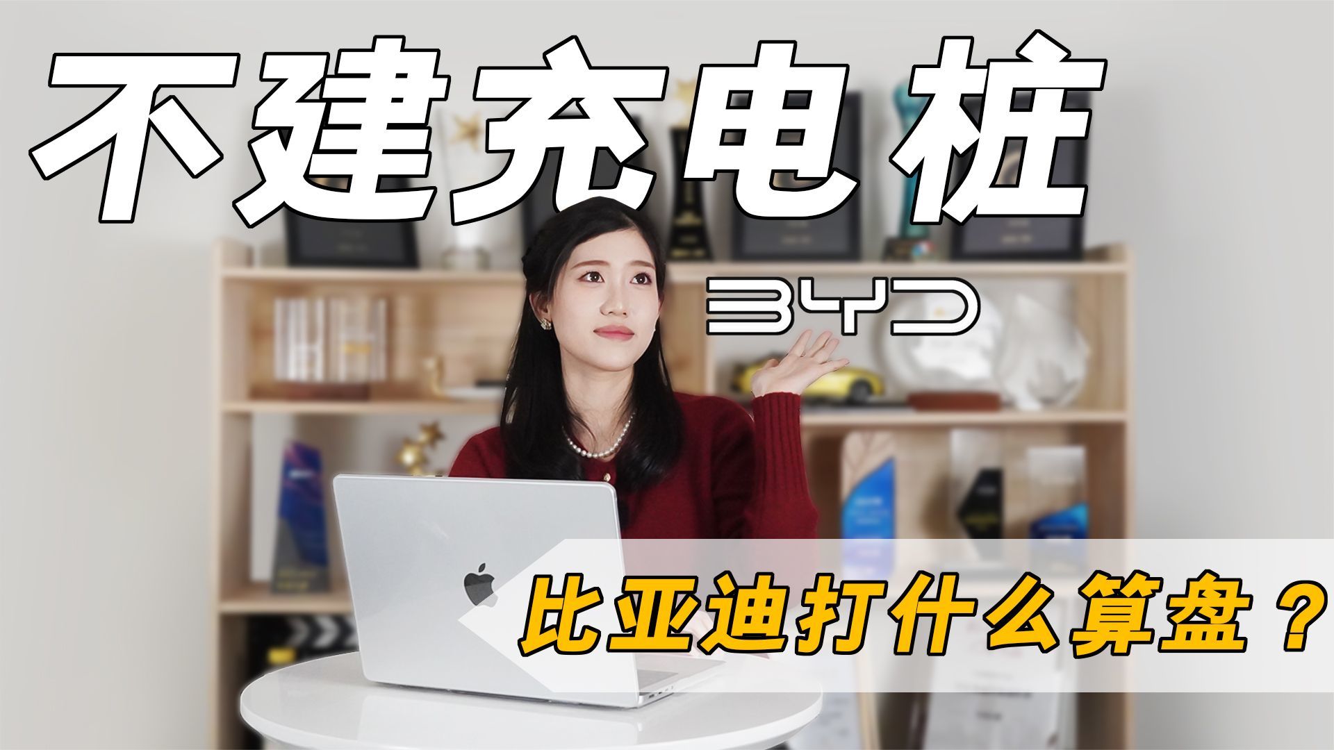 年销300万辆新能源的比亚迪，为啥不自建充电桩？