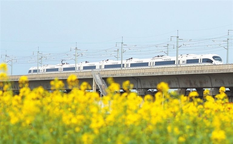 2月18日，昌赣高铁江西泰和赣江特大桥上，一列动车在金色的油菜花海中穿行。 特约通讯员 邓和平摄