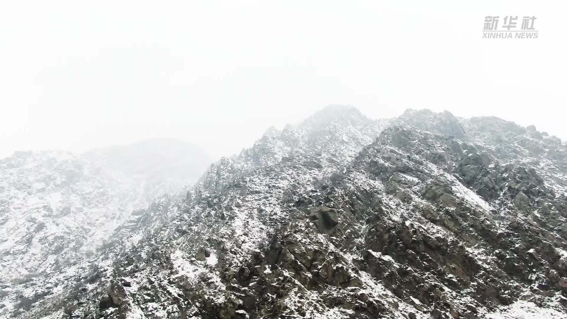 雪映贺兰山