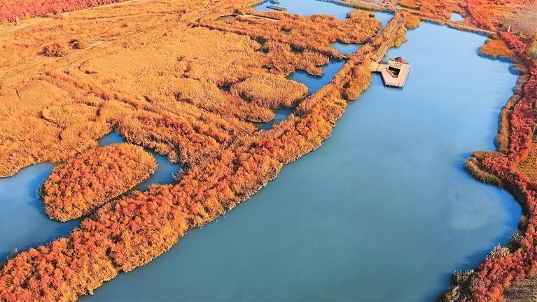 秦王川湿地公园：湖水清澈如碧玉，芦苇荡漾秋色美。