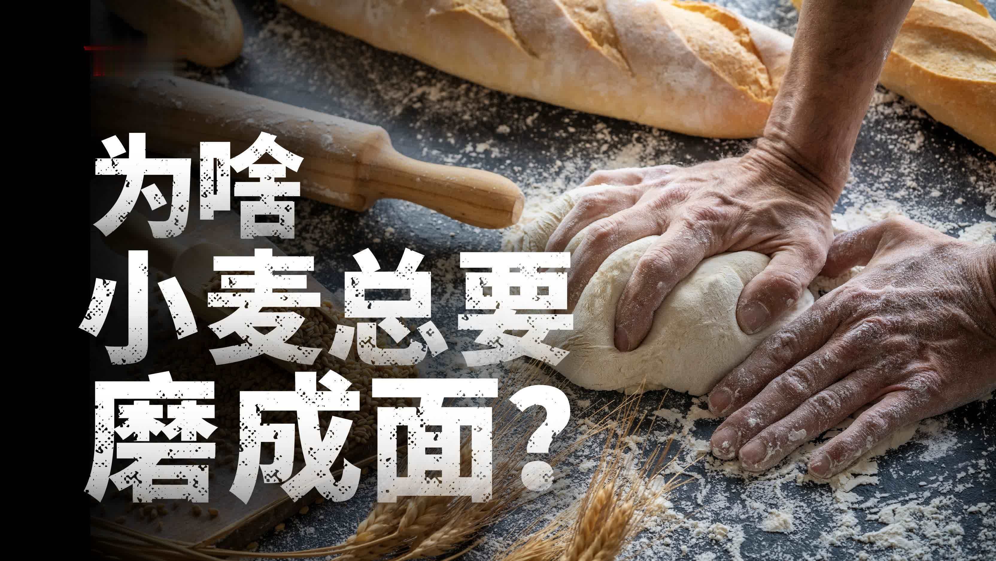 为什么大米可以直接吃，小麦总是要磨面吃？