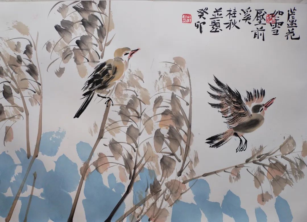 图片