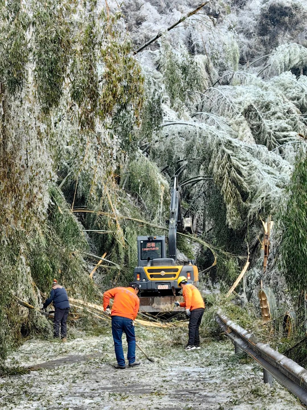 龙年开局战寒潮破冰斗雪送光明