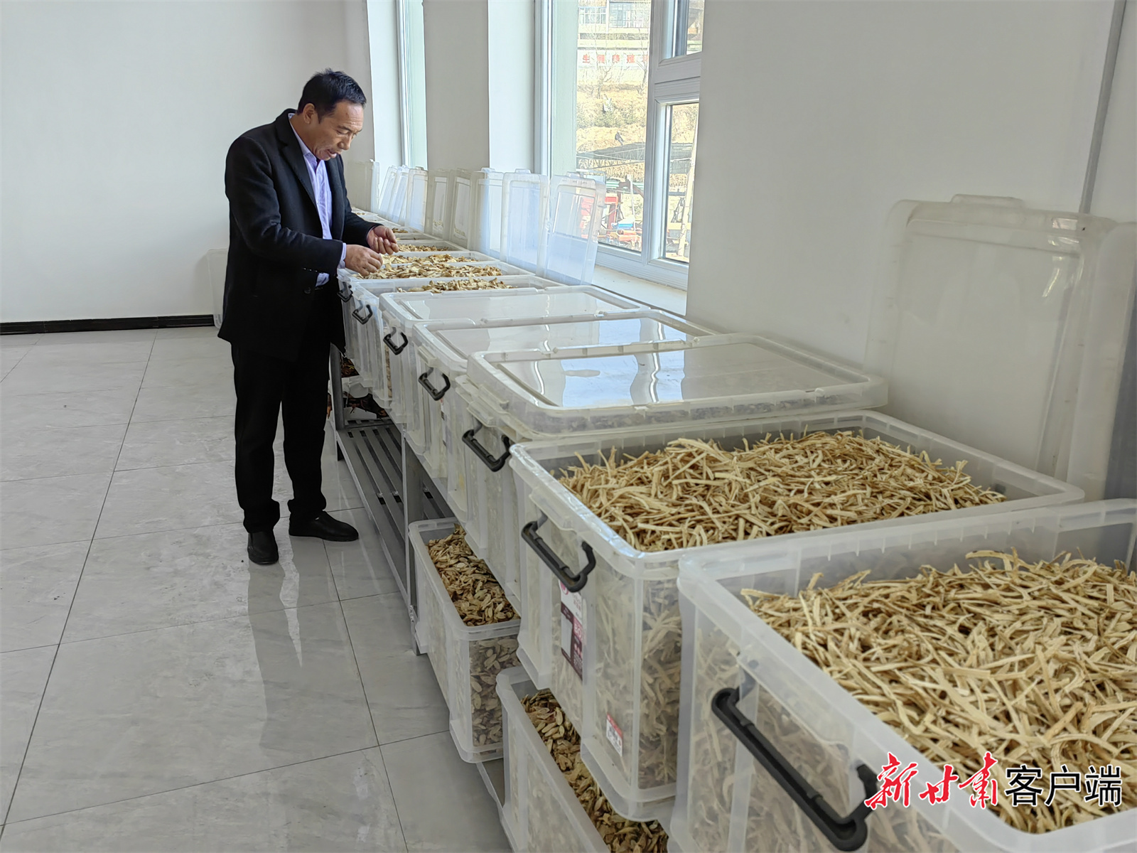 积石山县青丰中药材农民专业合作社发展中药材增加群众收入