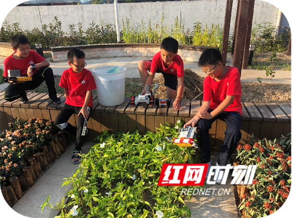微信图片_20240228152544.png