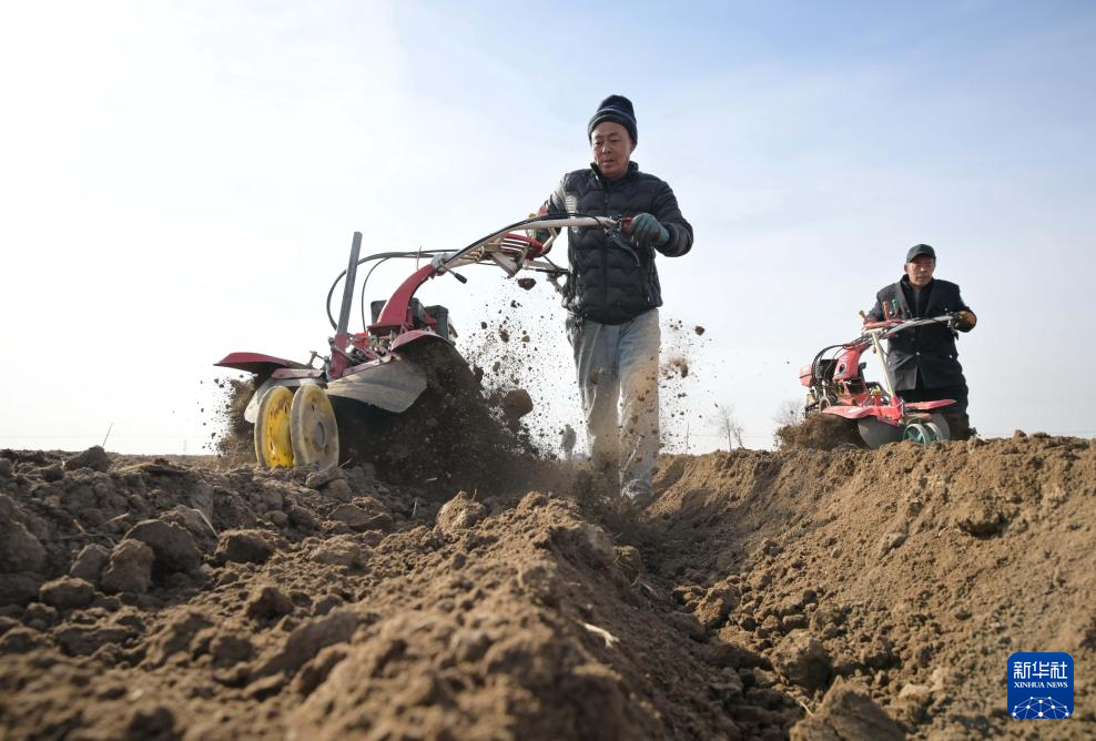 2月28日，河北省唐山市丰南区岔河镇三神庄村农民在田间开沟，准备播种马铃薯。