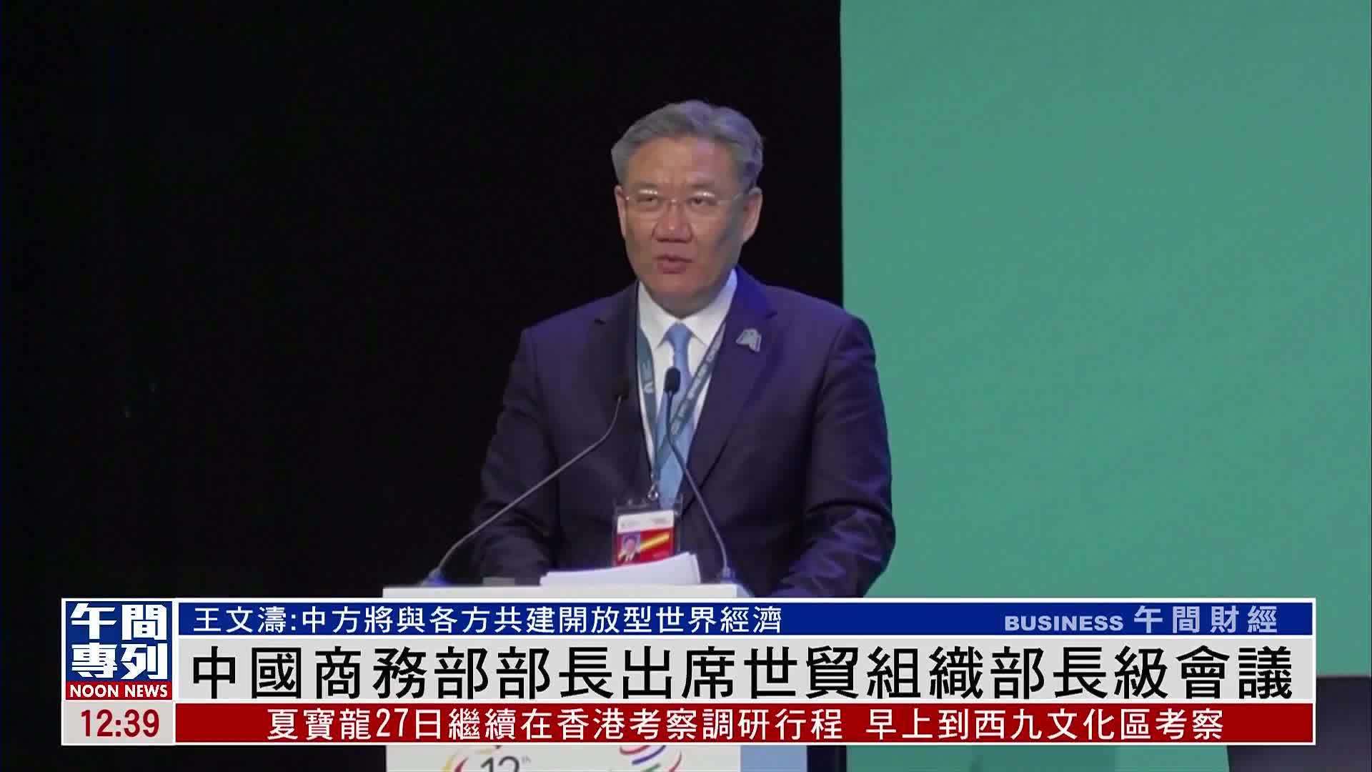中国商务部部长出席世贸组织部长级会议