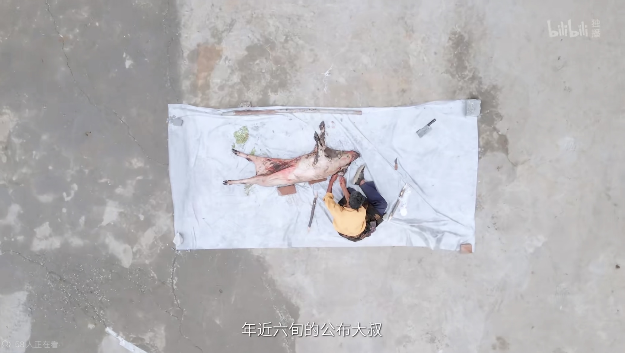 先用藏刀清空内脏,只留下一段肠子,另有妙用。塞入晒干的圆根萝卜根和叶,是纯天然的吸水防腐利器,肚子里扔进一颗石头,眼眶里也塞上石头,扎巴人相信这样猪就有了灵魂。