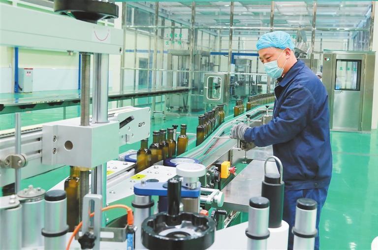 陇南市武都区祥宇油橄榄公司车间，工人们加紧生产、分拣、打包订单橄榄油产品。新甘肃·甘肃日报通讯员　李旭春
