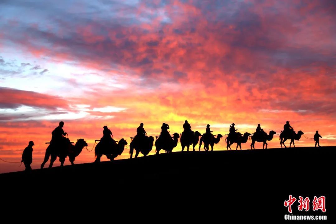 敦煌丝路驼铃　张晓亮　摄