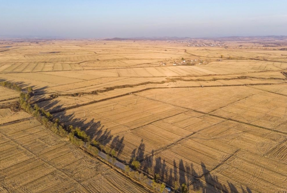 网红木耳机器人咖啡馆中国乡村振兴新图景