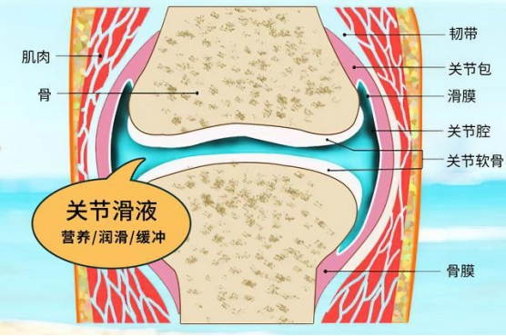 西安市第五医院膝关节积液小知识