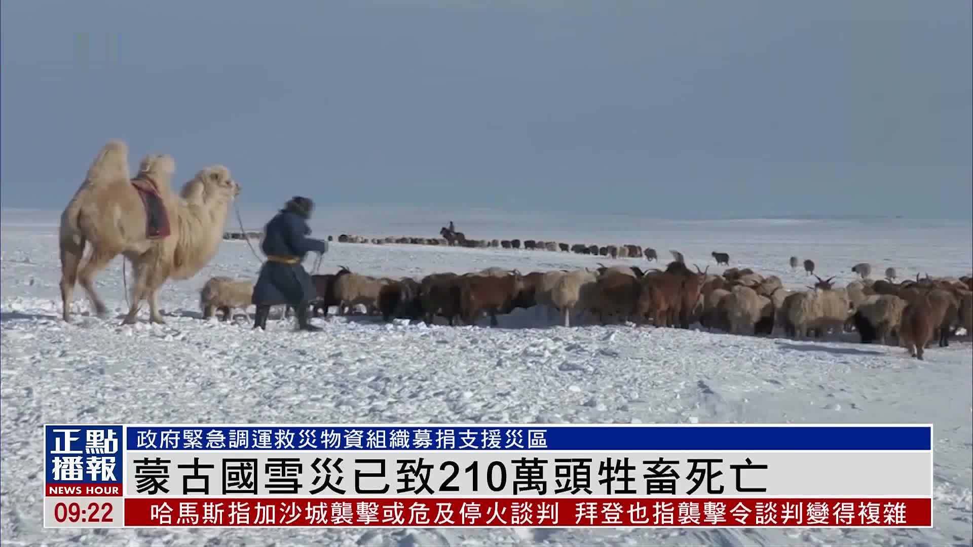蒙古国雪灾已致210万头牲畜死亡_凤凰网视频_凤凰网