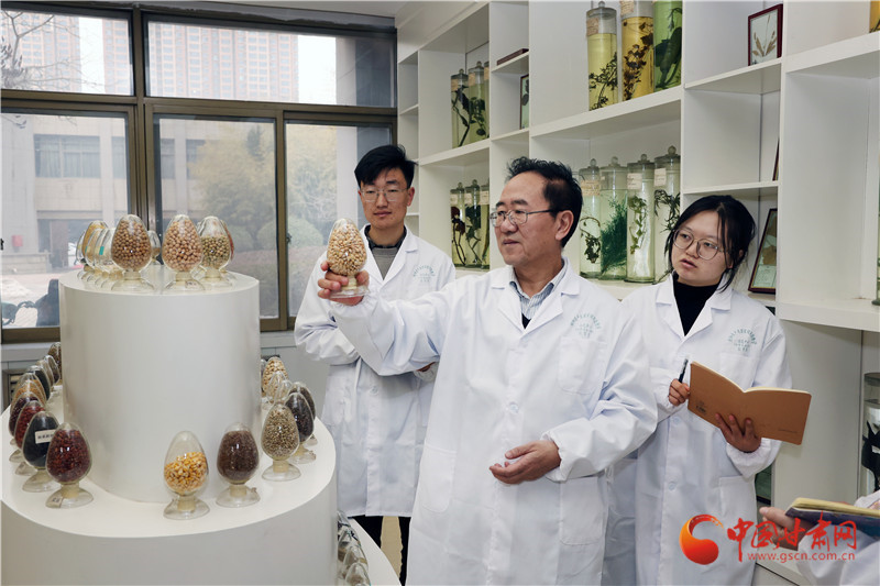 柴守玺委员：将大宗中药材种植纳入中央保险补贴范围