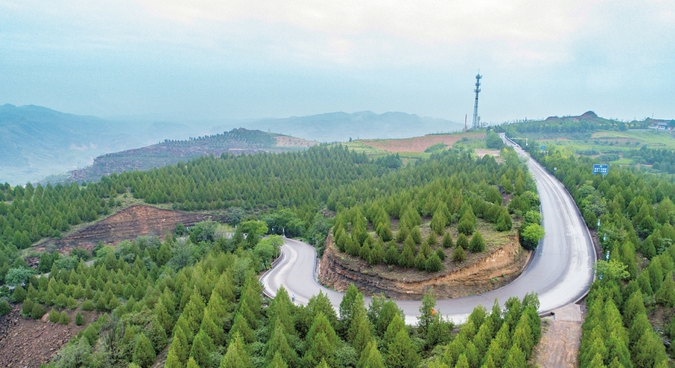 图为永和县永和关石质山地生态治理工程让荒山披上绿装