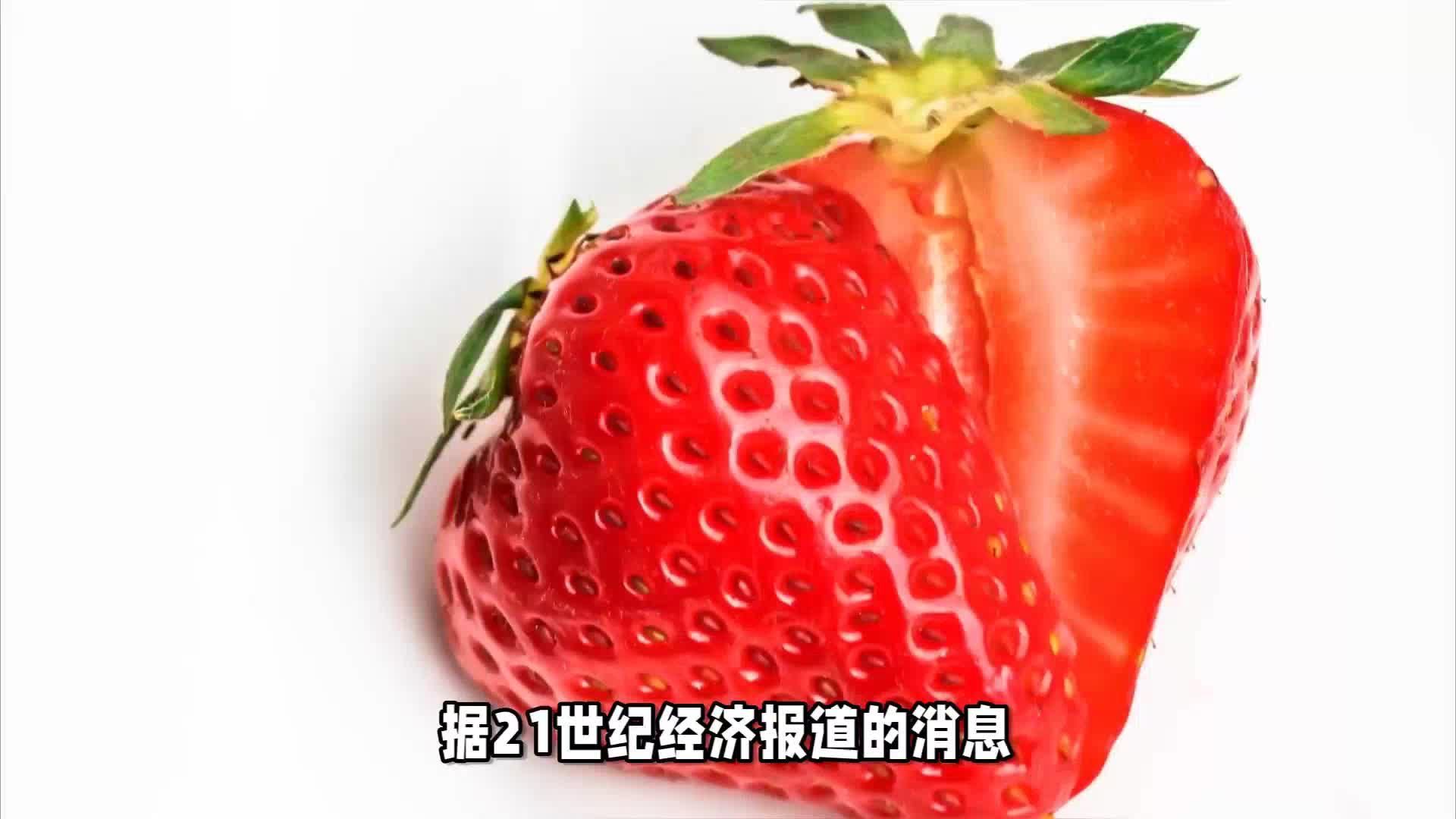 草莓价格突然腰斩？草莓自由要来了吗？