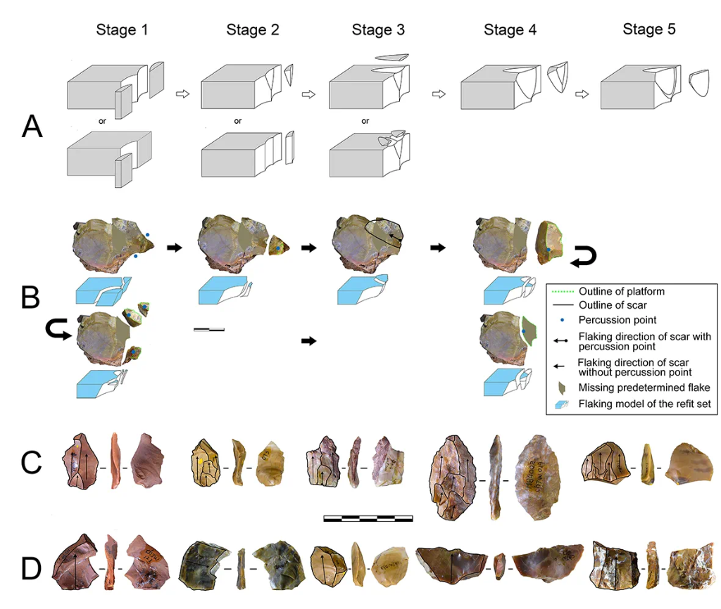 岑家湾遗址“准备石核技术”及相关石制品。(受访单位供图)