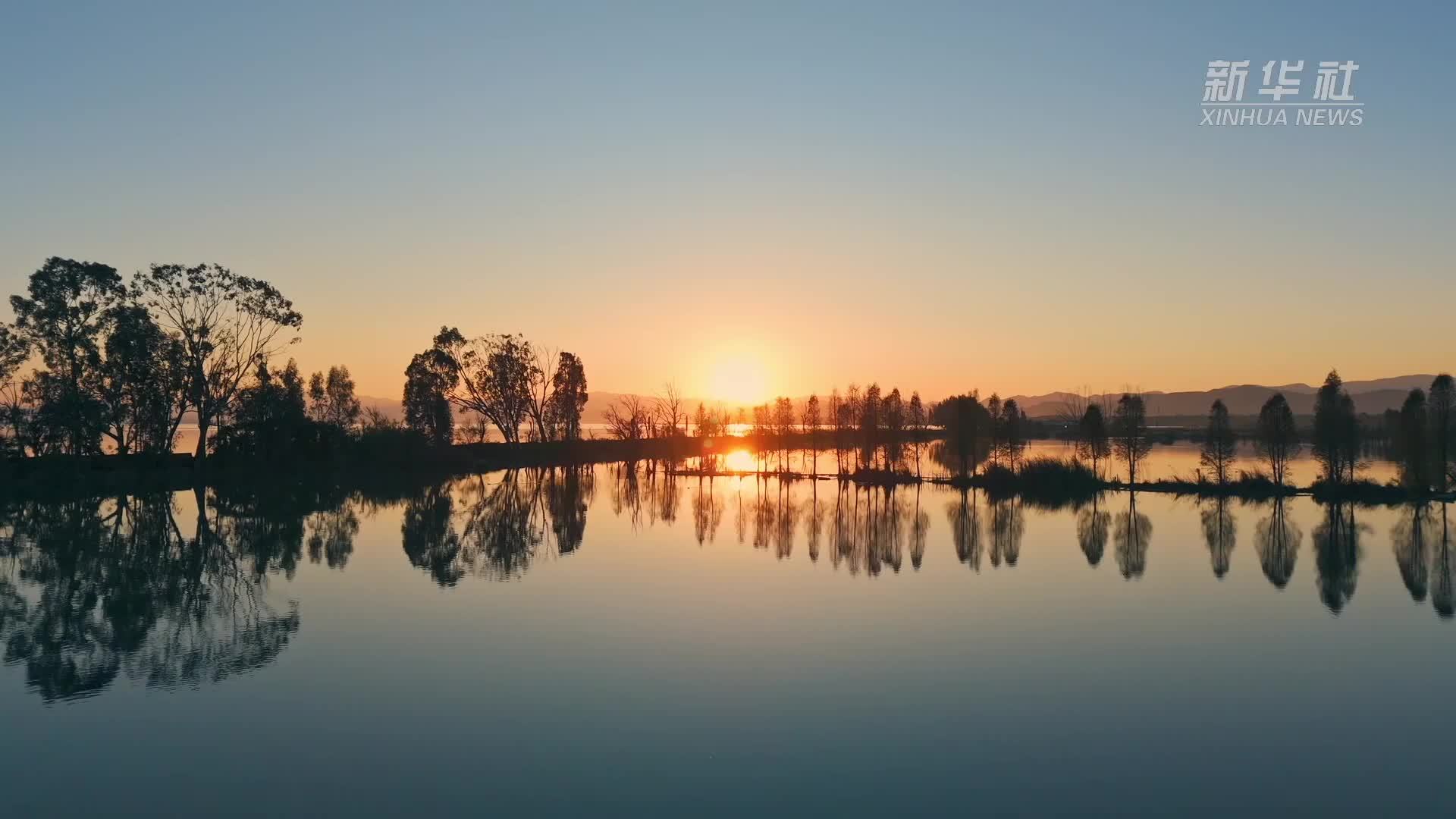 滇池湿地春意浓 生态美景入画来