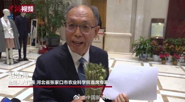 人大代表带着谷草上两会：希望恢复谷子主粮地位