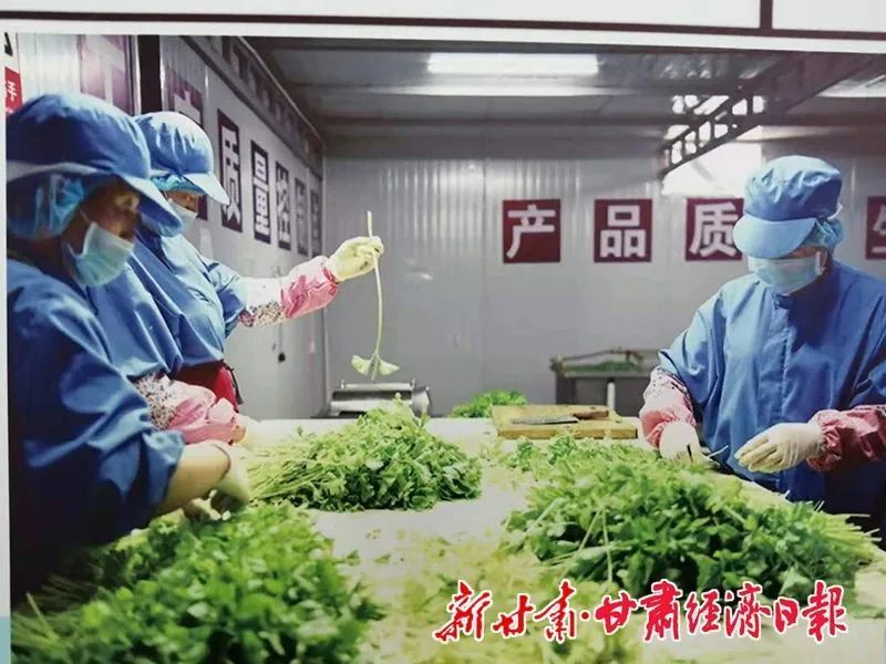 黄宝荣走上委员通道　分享甘肃“浆”湖故事
