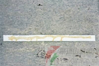 用布匹拓印的“鲁山龙”