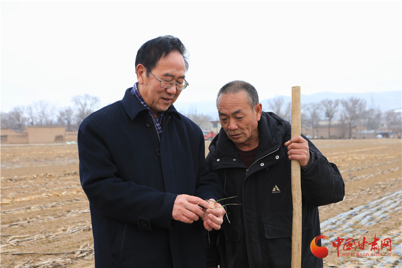 柴守玺委员：将大宗中药材种植纳入中央保险补贴范围