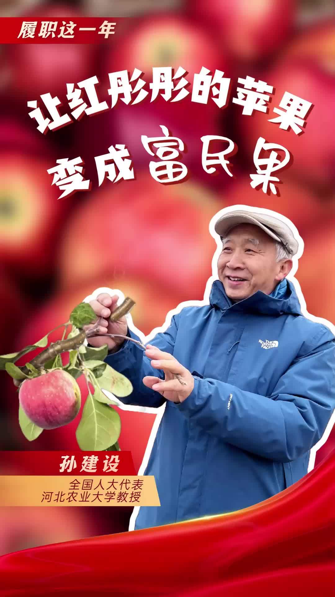 百姓看联播孙建设让红彤彤的苹果变成富民果